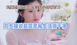 刘大锤最新爆料赵露思,娱乐圈新瓜来袭！